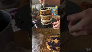 Blueberry Lemon Wedding Cake Crumb Coat Styling asmr [upl. by Repotsirhc429]