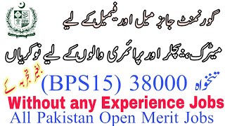 New Government Jobs For All Pakistan Matric and Bachelor Jobs In pk [upl. by Joann]