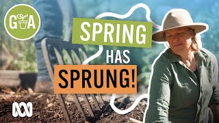 Spring Jobs to Start NOW  Gardening 101  Gardening Australia [upl. by Grove]