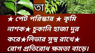 neem leaf health y নিম পাতার উপকারিতা HealthCription laboniskitchenvlogs [upl. by Yehudit368]