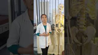 Neck pain and cervical spondylosis chiropractic treatment for compressed nerve [upl. by Amadeus]