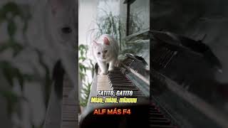 Canción del GATITO miau miau canciongato miau gatito music [upl. by Reniti244]