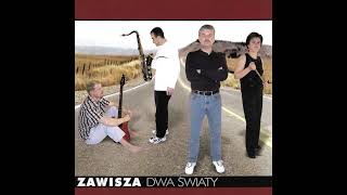 Zawisza Band  Polka Szedł Chłop z Kamionki [upl. by Nnylak169]