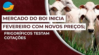 Mercado do Boi Inicia Fevereiro com Novos Preços Frigoríficos Testam Cotações [upl. by Haroppizt979]