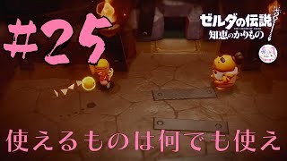 ゼルダの伝説知恵のかりもの25 [upl. by Treharne]