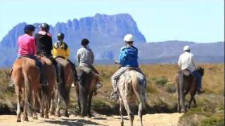 Horse Riding at Cradle Mountain [upl. by Yrreiht260]