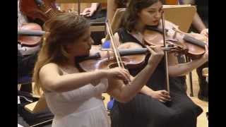 Tchaikovsky Violin Concerto Op 35 13 Allegro Moderato [upl. by Sandor]