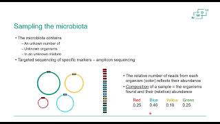 Module10metabarcoding [upl. by Nas326]