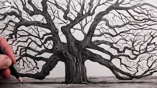 How to Draw an Old Oak Tree Narrated Step by Step [upl. by Romalda]