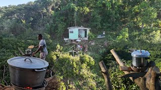 Renovation of this house continues  Cooking goat meat w coconut rice  stunning view  Look [upl. by Akenehs]