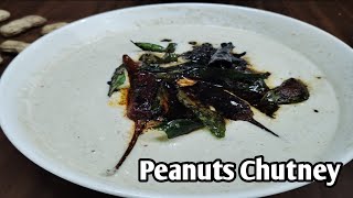 Peanuts Chutney Recipe ll Peanuts Chatney [upl. by Charie]