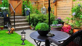 270 ideas of landscape design and furniture for a garden plot and a backyard [upl. by Palladin983]