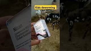 Kids deworming kidsdeworming bachyfarm dewormer nilzanplus pirmahalvloger ustadfarhangujjar [upl. by Ellimak]