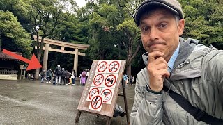 Tokyo Fallout from Vandalism at Meiji Shrine [upl. by Cronin366]