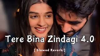 Tere Bina Zindagi 40 Slowed Reverb Song  Love mashup song  MUSIC ADDA  new release song [upl. by Kamat]