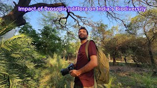 23 IFoS2019  Silviculture of Indian trees  Lecture 3  North Indian species [upl. by Malory352]