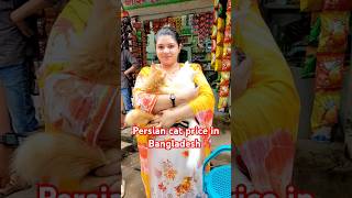 Persian cat price in Bangladesh  mirpur 1 pakhir hat  shorts vairalreels2024 pakhipagla [upl. by Niwhsa4]