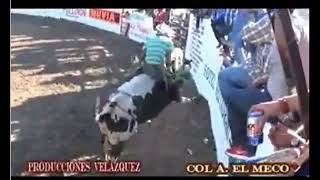 1ER LUGAR TERNA CARLITOS MARTINEZ VS TORASO RANCHO ALERGRE MUCHACHO ALEGRE [upl. by Maye]