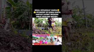 BEGAL KETANGKAP WARGA🥴😤 NYUNGSEP KE SAWAH MINTA AMPUN AKIBAT EKONOMI NEKAT NYOLONG MOTOR feedshorts [upl. by Ytinav]