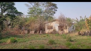 COLONIA COM VARIAS CASAS ABANDONADAS LOCAL DIFERENCIADO [upl. by Niwroc208]