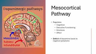 P3W3 Antipsychotics Bipolar Stimulants RECORDING [upl. by Latsyrhc]