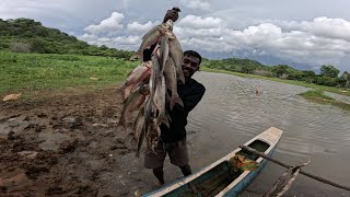 එලන දැල්වල රිදි කාෆයෝ 😮 🐟islandfishing පඩිකැපුහෙල වැව 🌱😍 [upl. by Kcirdes]