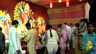 Biggest festival for Bengalis is Durga Puja [upl. by Grimaud]