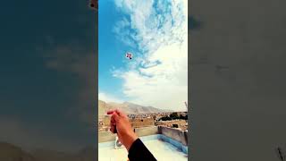 BEAUTIFUL KITE FLYING [upl. by Aliak]