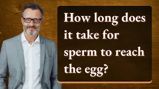 How long does it take for sperm to reach the egg [upl. by Adilem419]