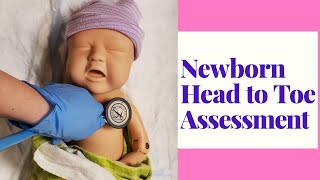 NEWBORN HEAD TO TOE ASSESSMENTOB SKILLS DEMO [upl. by Mortimer160]