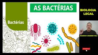 A Biologia das BACTÉRIAS [upl. by Dorcy]