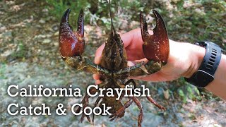 California Crayfish Catch and Cook [upl. by Isaiah]