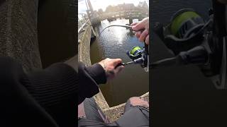 ZANDER FISHING 🧛🏼‍♂️ LMAB zanderfishing fishingvideos roofvissen fishingdaily fishingreels [upl. by Booker]