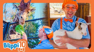 Blippis Best Animal Moments Top 10 Adventures  Blippis Top 10  Educational Videos for Kids [upl. by Aneeles987]