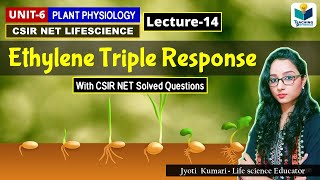 ETHYLENE TRIPLE RESPONSE PHYTOHORMONE PART14 CSIR NET PLANT BIOLOGY [upl. by Schmitz202]