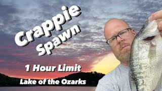 LIMIT of Spawning CRAPPIEIn 1 Hour [upl. by Eetnod]