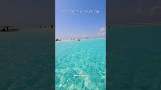 Zanzibar Tanzania travel youtubeshorts africanholiday africanbeach africantravel [upl. by Yuzik]