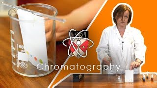 Chromatography  GCSE Science Required Practical [upl. by Colfin]