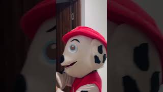 PAW PAtrol with new Siren Head game over shorts funny pawpatrol [upl. by Swinton]