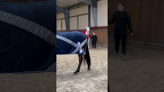 Polish Championship 🇵🇱 CVI Radzionków 2024 cichondressage vaulting equine [upl. by Nwadal]