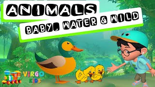 BABY ANIMALS  WATER ANIMALS  WILD ANIMALS  IDENTIFY ANIMALS NAMES  KIDS LEARNING ViRGOKiDS [upl. by Nnylatsyrc]