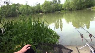 FRAMFIELD PARK FISHERIES UCKFIELD E SUSSEX [upl. by Onabru]