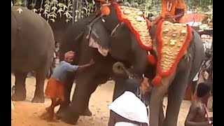 Elephants Rampage At Temple Function  Elephant Attack In Temple Festival [upl. by Bethezel]