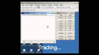 Motion Tracking  ImageJ [upl. by Samy]