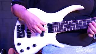 Epiphone Toby Standard IV Bass  Everything You Need To Know [upl. by Allerus71]