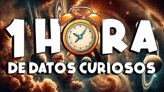 ¡ 1 HORA sin pausas de DATOS CURIOSOS y COSAS QUE NO SABÍAS  ⏰😲 31 curiomaníatv [upl. by Leonardi]