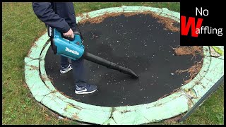 Makita Cordless Leaf Blower 18v Battery Operated Review  DUB184Z [upl. by Eldrid156]