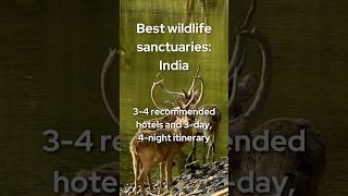 Top 4 Wildlife Sanctuaries in India to Visit [upl. by Nospmas]