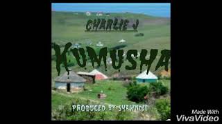 Charlie J  KUMUSHA Mukwende Jah Prayzah cover [upl. by Jo-Anne]