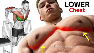 10 BEST EXERCISE LOWER CHEST WORKOUT 🔥 [upl. by Aicnilav520]